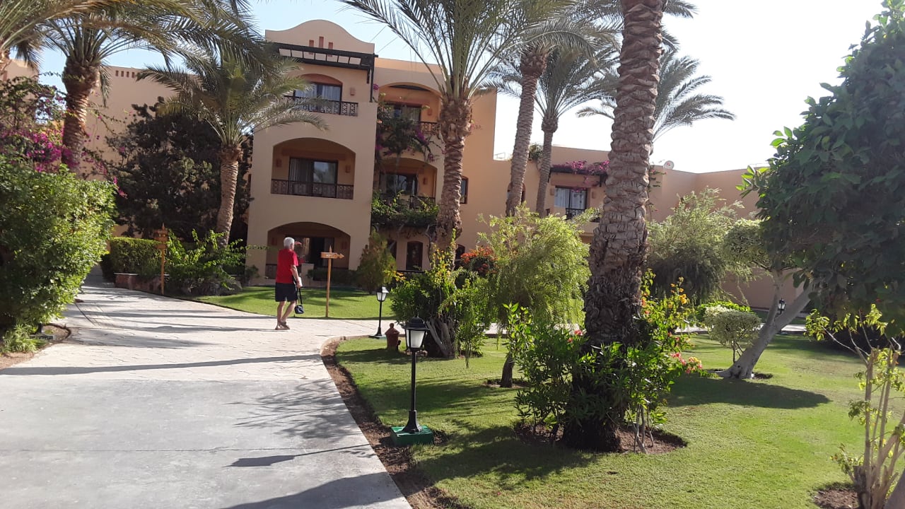 Gartenanlage Steigenberger Coraya Beach - Adults only