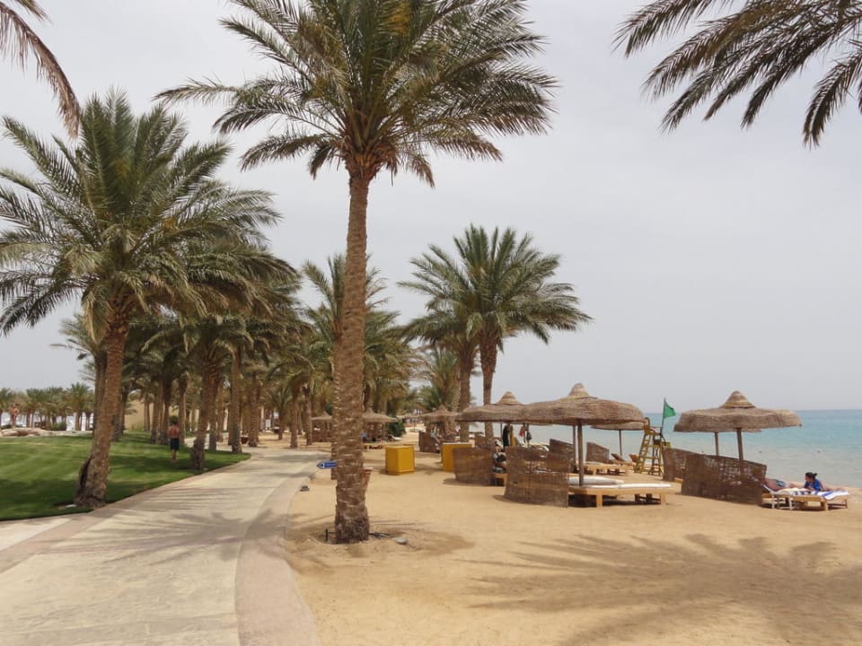 Beach Palm Royale Resort - Soma Bay