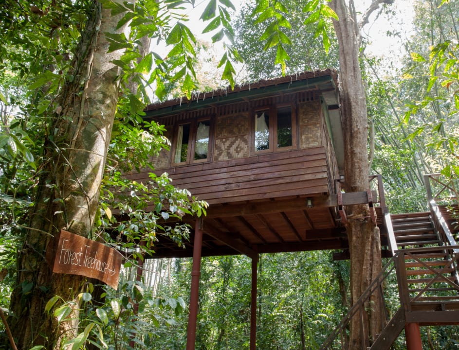 Außenansicht Our Jungle House