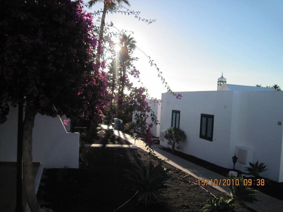 Sonnenaufgang Hotel Hyde Park Lane