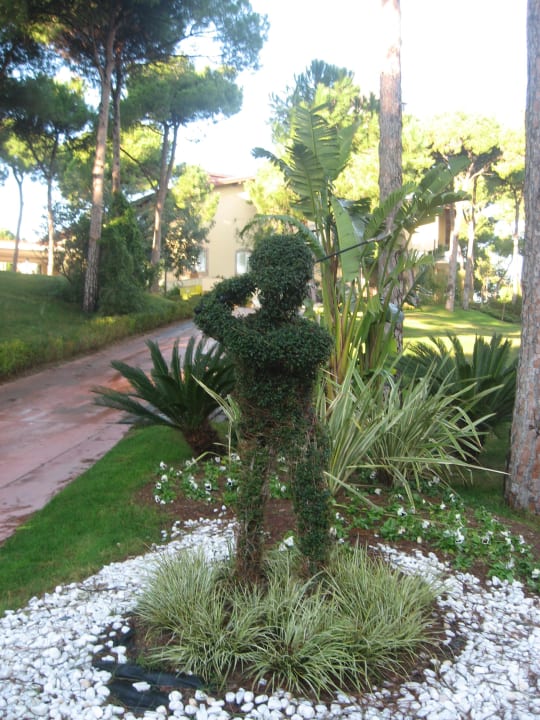 Территория Maxx Royal Belek Golf Resort