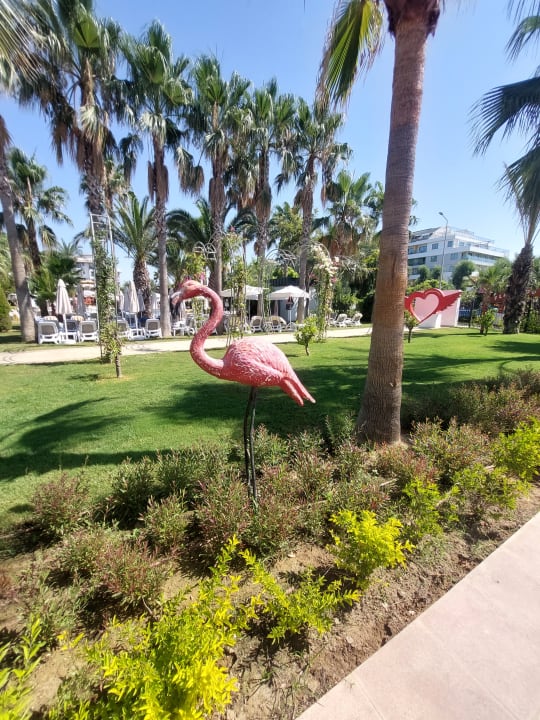 Gartenanlage Belek Beach Resort Hotel