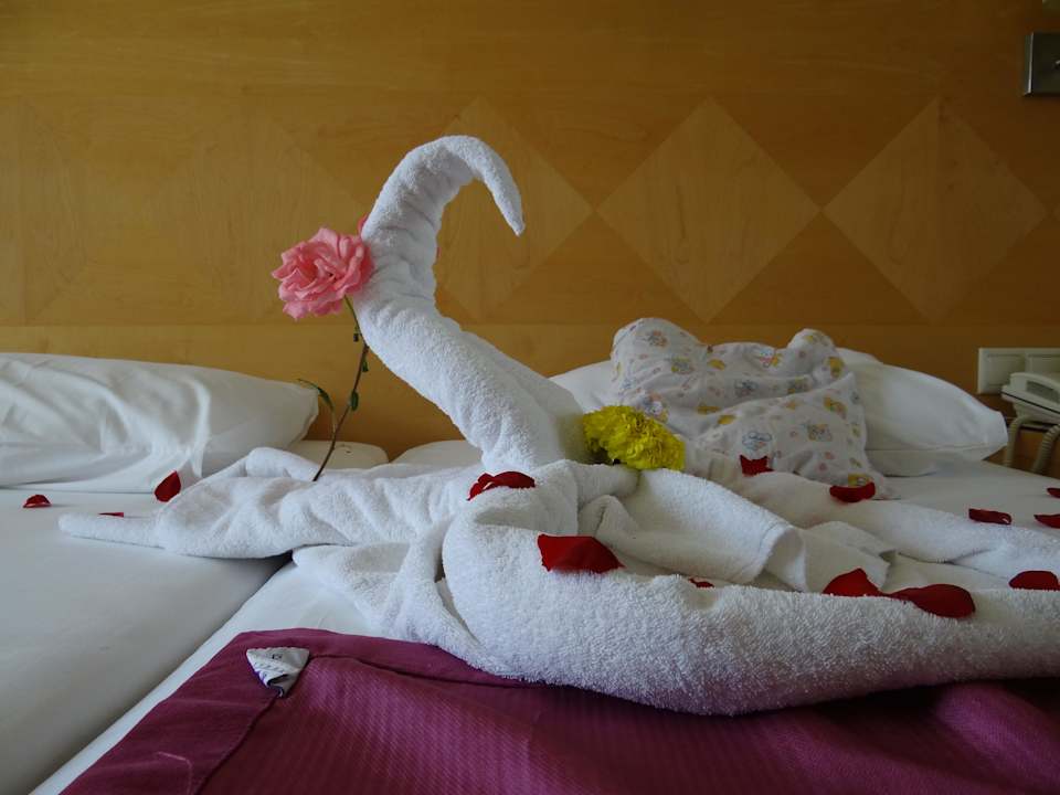 Liebesschwan Sealife Buket Resort & Beach