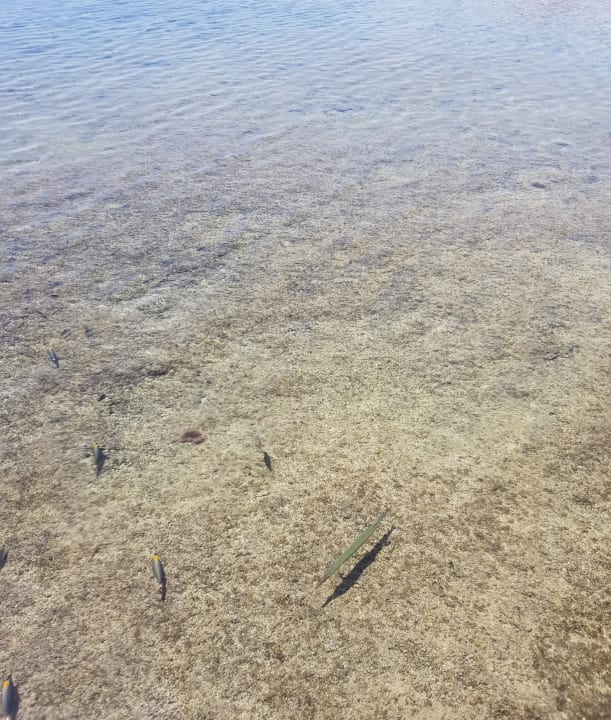 Strand Jaz Grand Marsa