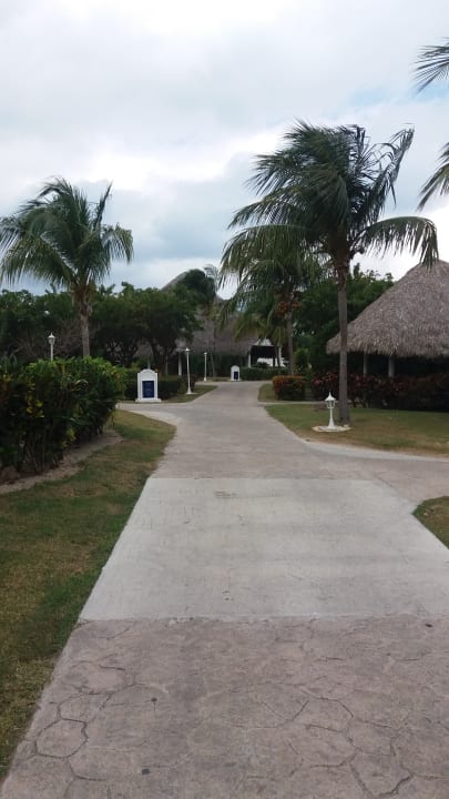 Gartenanlage Melia Las Dunas