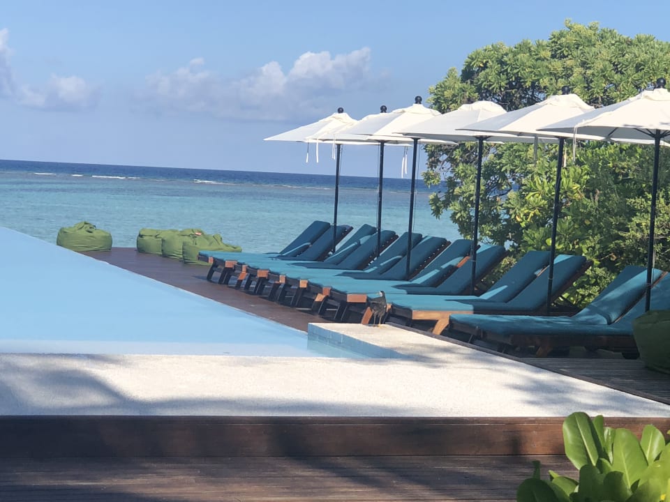 Pool Summer Island Maldives