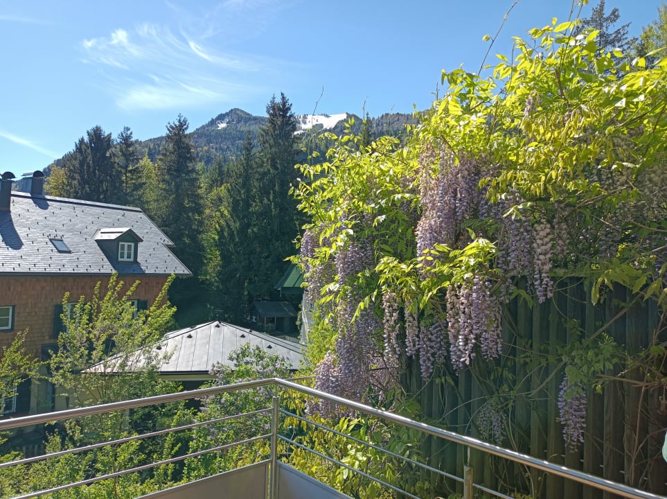 Ausblick Hotel Hollweger