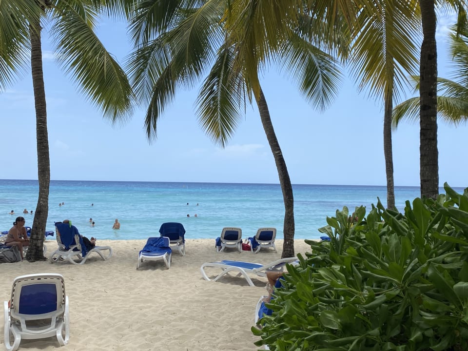 Strand Hotel Viva Dominicus Beach by Wyndham - All Inclusive Resort