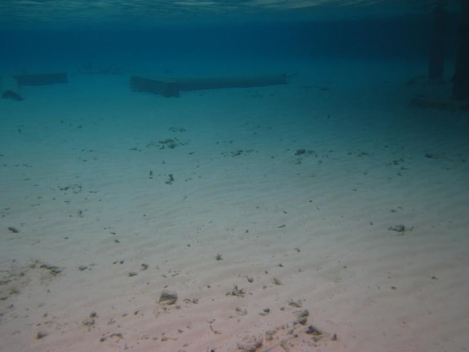 Metallverseuchte Lagune ROBINSON MALDIVES