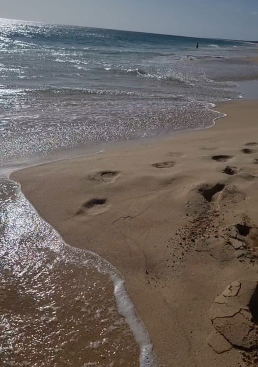 Strand Hotel Riu Touareg