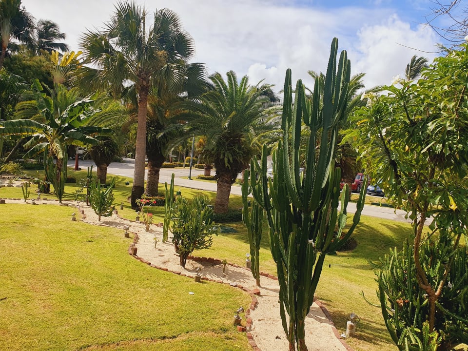 Gartenanlage Hotel Grand Palladium Palace Resort, Spa & Casino