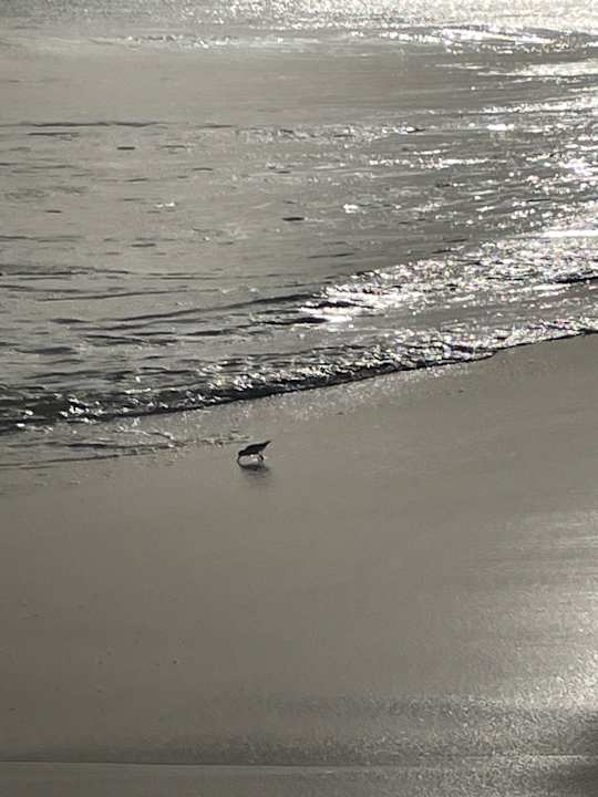 Strand Hotel Riu Touareg