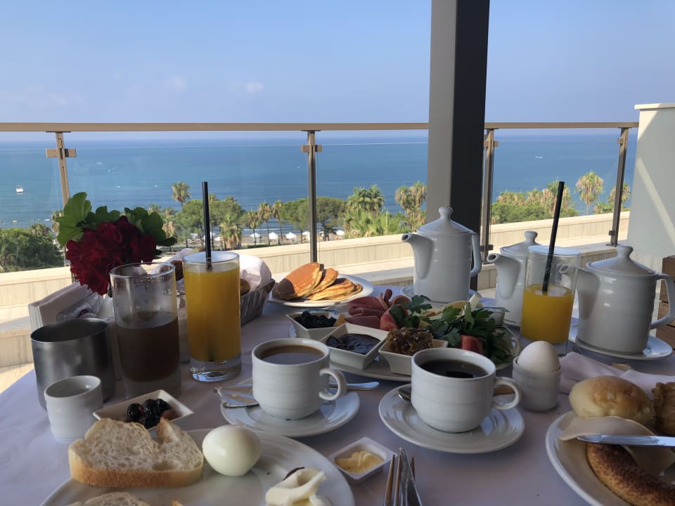 Zimmer Acanthus Cennet Barut Collection