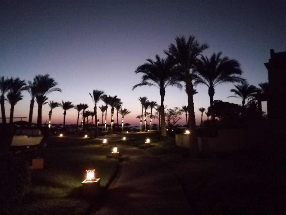 Pool Pickalbatros Oasis Hotel - Port Ghalib