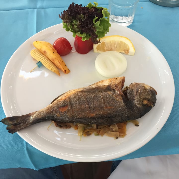 Gastro Calimera Hane Garden