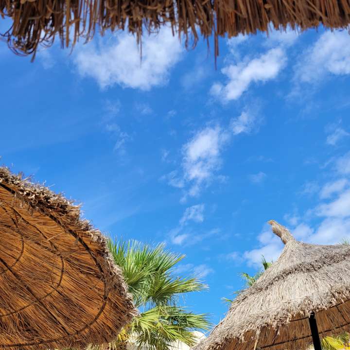 Ausblick TUI MAGIC LIFE Penelope Beach