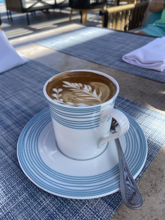 Gastro JAZ Elite Amara