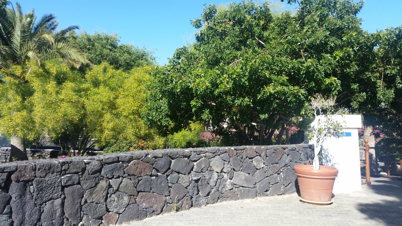 Gartenanlage Relaxia Olivina