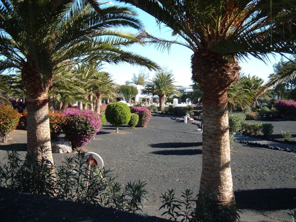 Sehr schöner Hotel-Park Relaxia Olivina