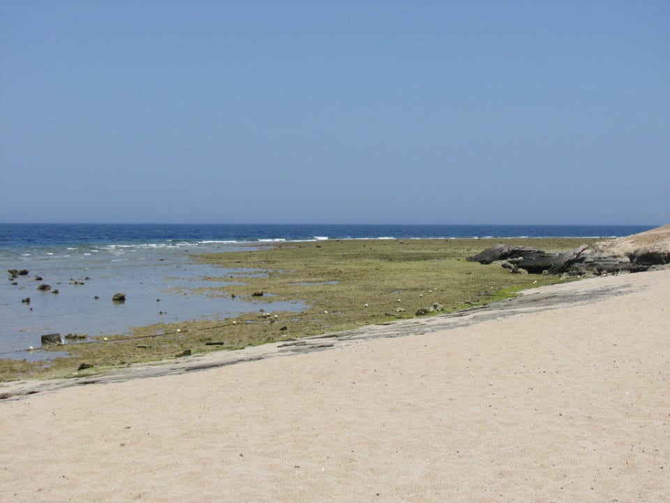Korallenriff bei Ebbe Coral Sun Beach