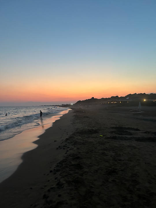 Strand Seashell Vega