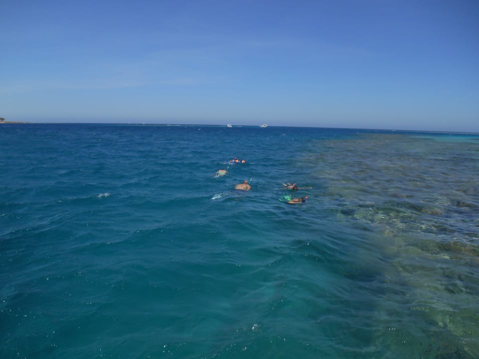 Hausriff Cleopatra Luxury Resort Makadi Bay