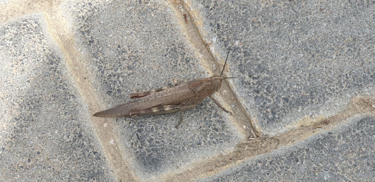 Sonstiges Anemos Luxury Grand Resort