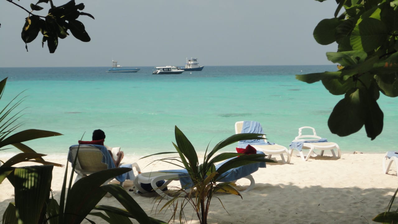 Schön  Kuramathi Maldives