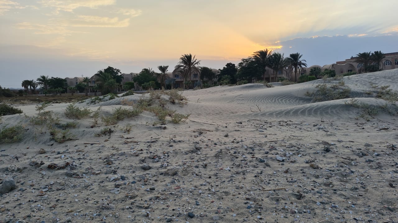 Außenansicht Shams Alam Beach Resort