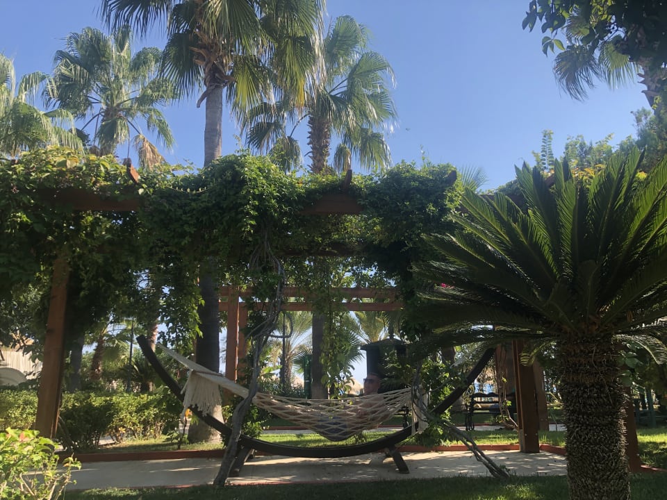 Außenansicht Saphir Resort & Spa