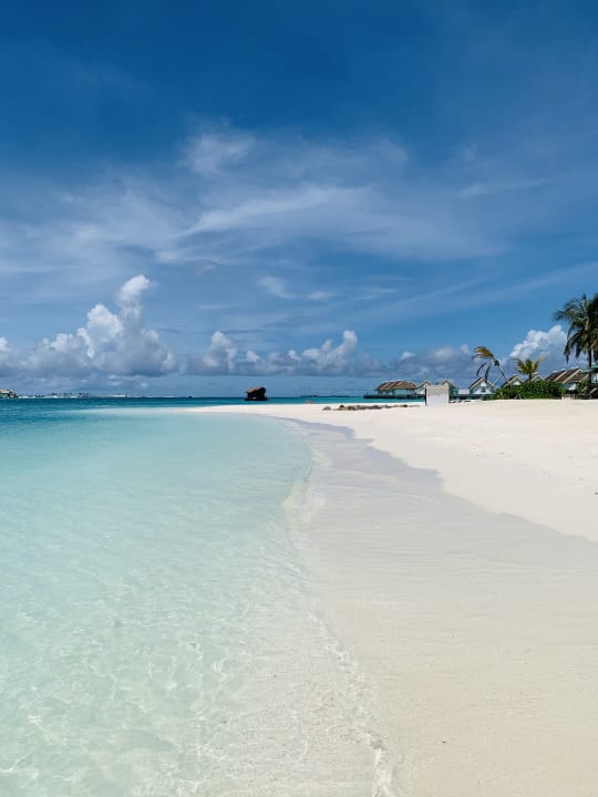 Strand SAii Lagoon Maldives, Curio Collection by Hilton