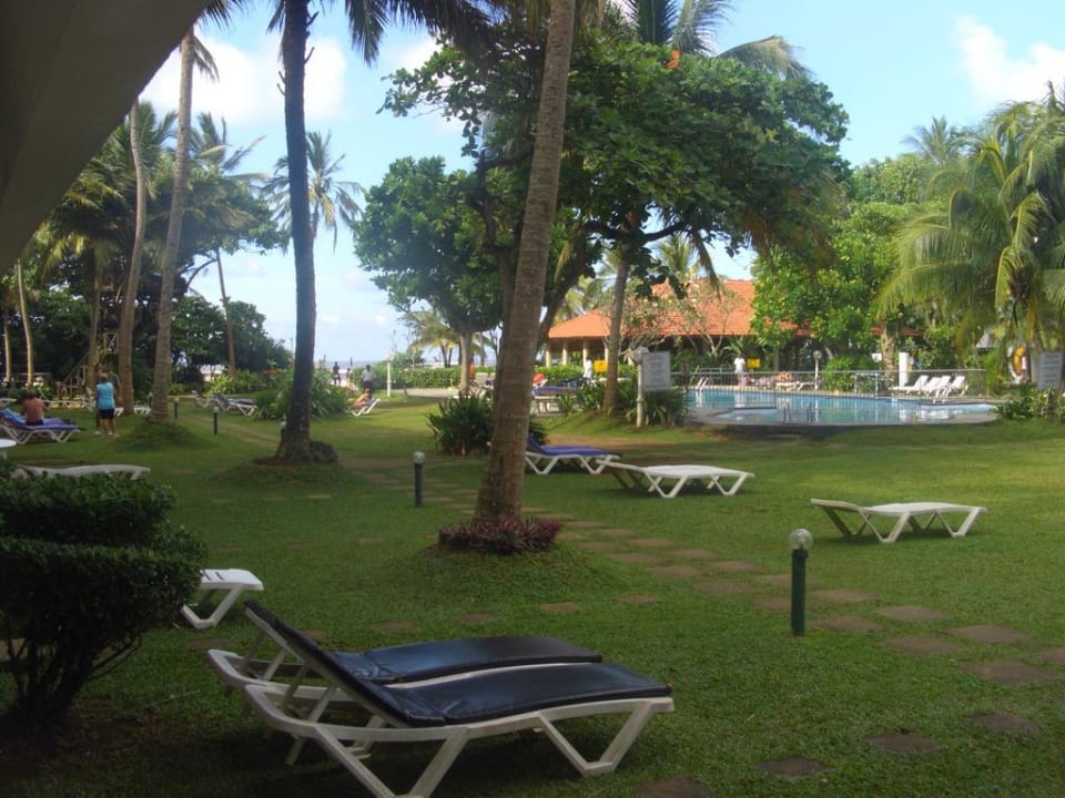 Ausblick von der Terrasse Hotel Club Palm Garden
