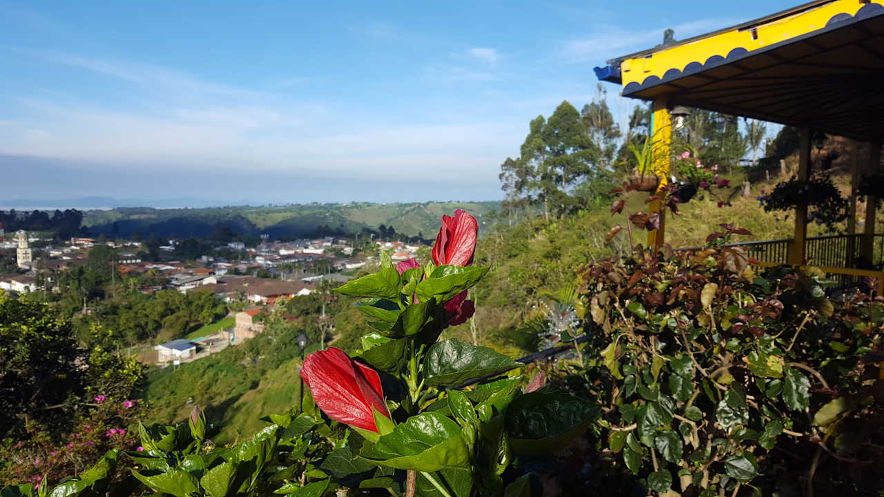 Ausblick Hostal Finca Cardonales
