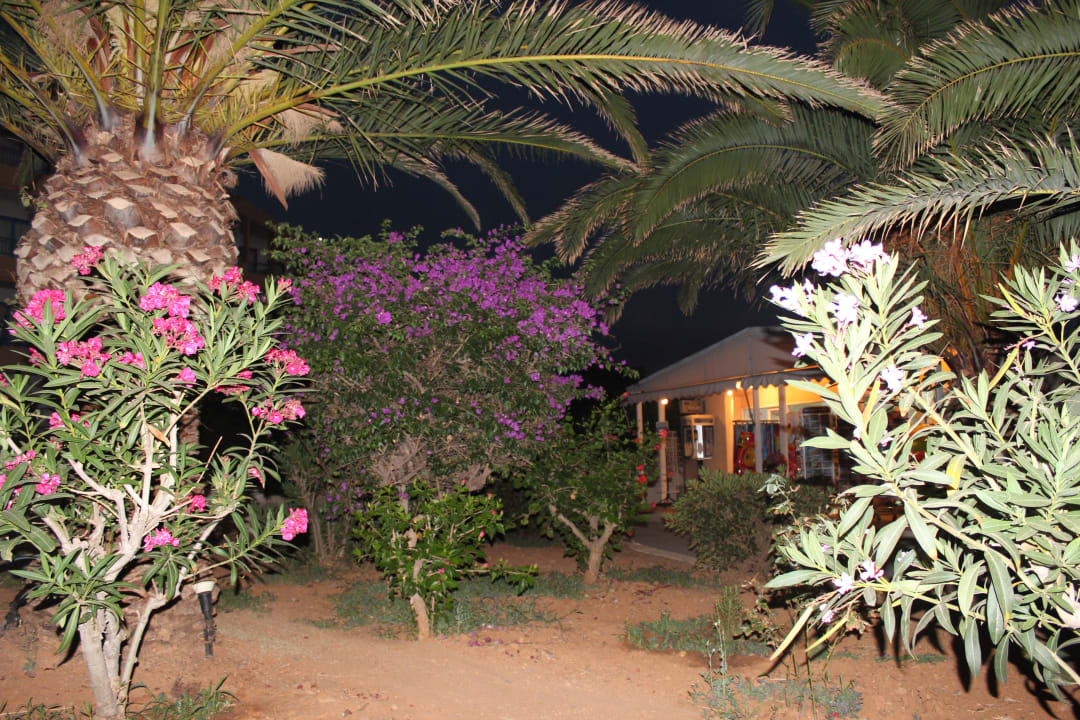 Super gepflegter Garten Hotel Aphrodite Beach Club