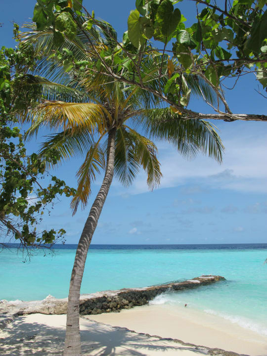 Beach Lagune 209 Eri Maldives