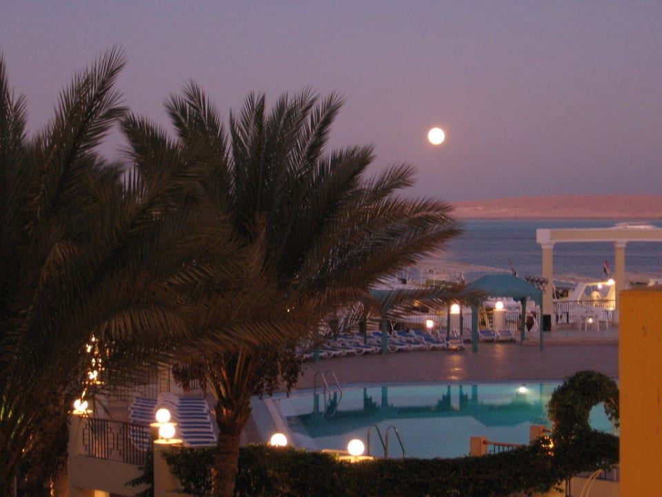 Pool und Garten SUNRISE Holidays Resort (Adults Only)