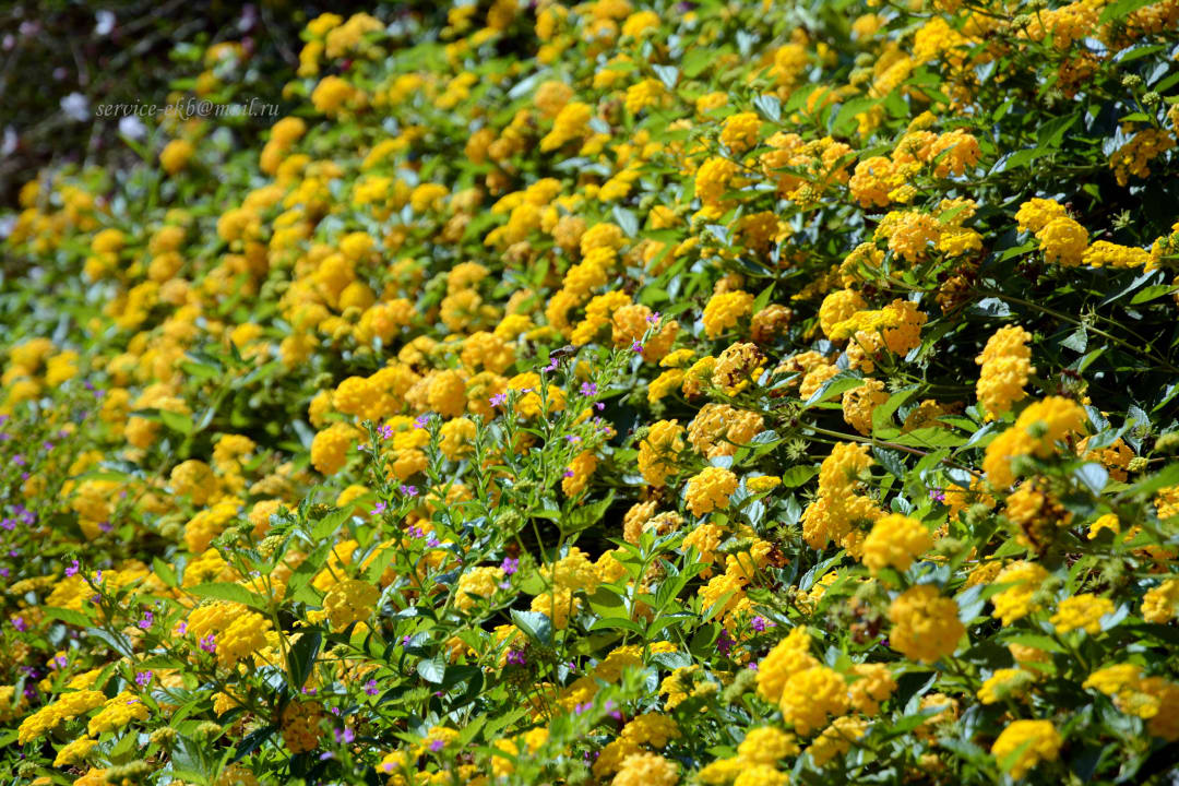 Titanic Deluxe Belek Titanic Deluxe Golf Belek