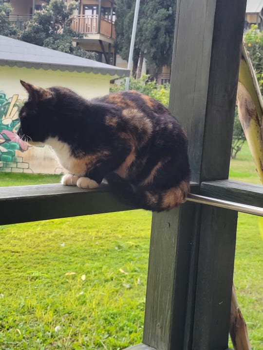 Gartenanlage Limak Limra Hotel & Resort