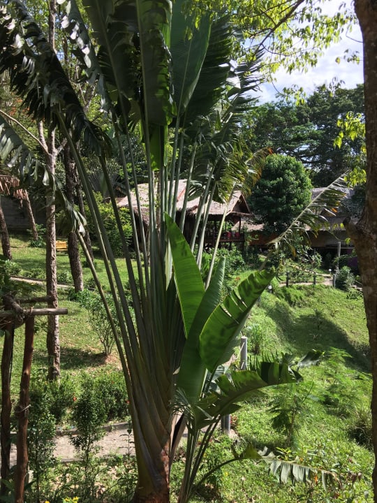 Anlage Villas Banyan Bay