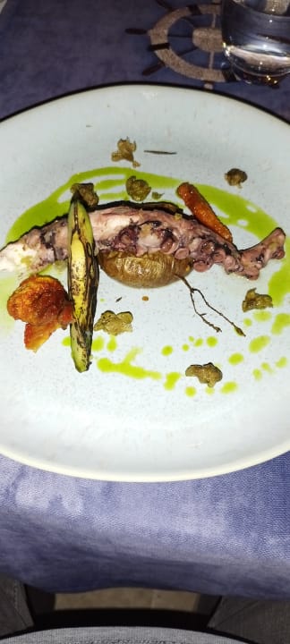 Gastro Acanthus Cennet Barut Collection