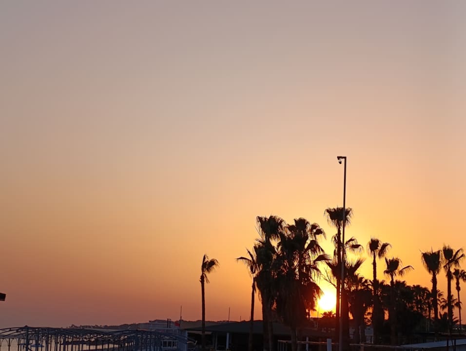 Gastro Monachus Family Resort Sorgun