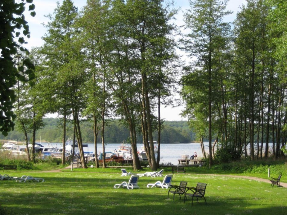 Liegewiese mit Badesteg und Bootsanleger Seehotel Frankenhorst - BW Signature Collection