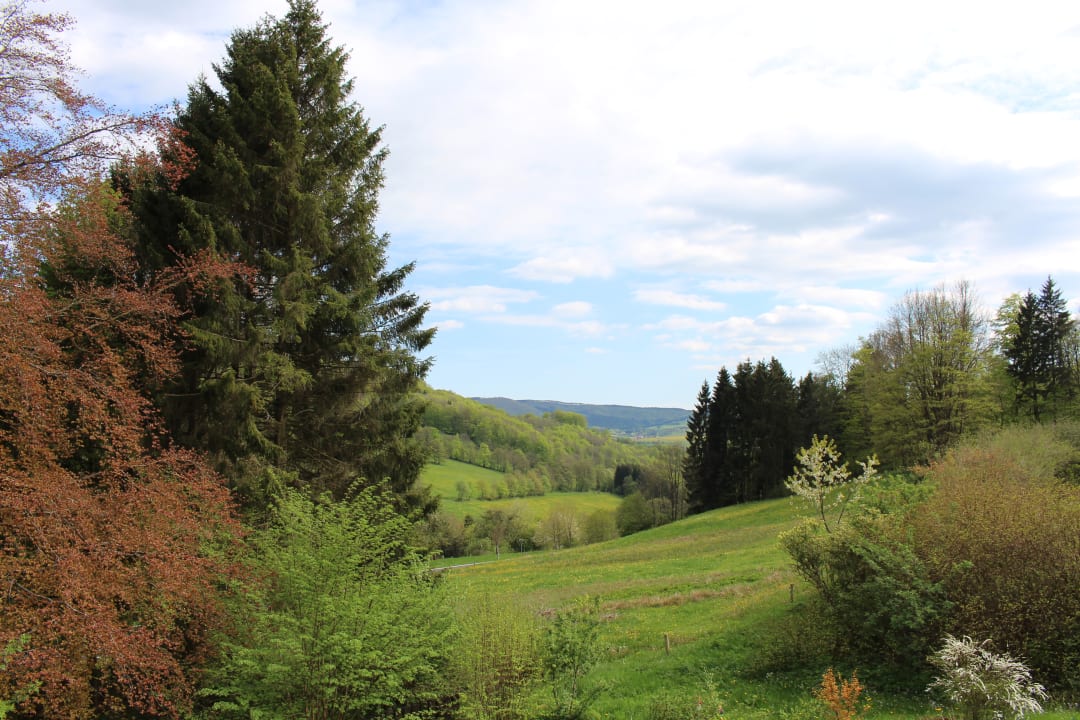 Ausblick Hotel Berghof Wasserkuppe