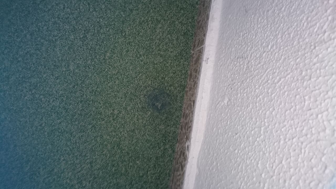 Zimmer Hotel Vibra Beverly Playa