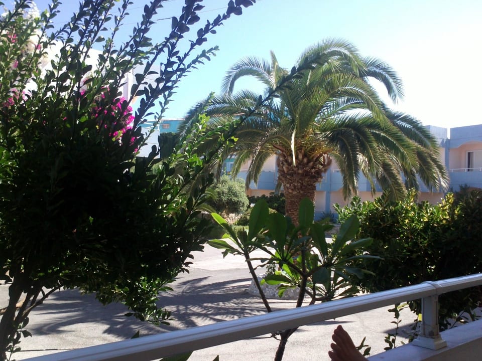 Innenhof Hotel Kathrin Beach