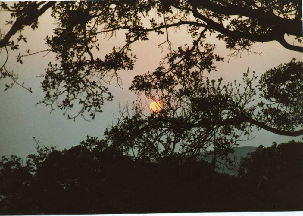 Blick von der Terrasse auf die aufgehende Sonne Hotel Hluhluwe Umfolozi Hilltop Camp