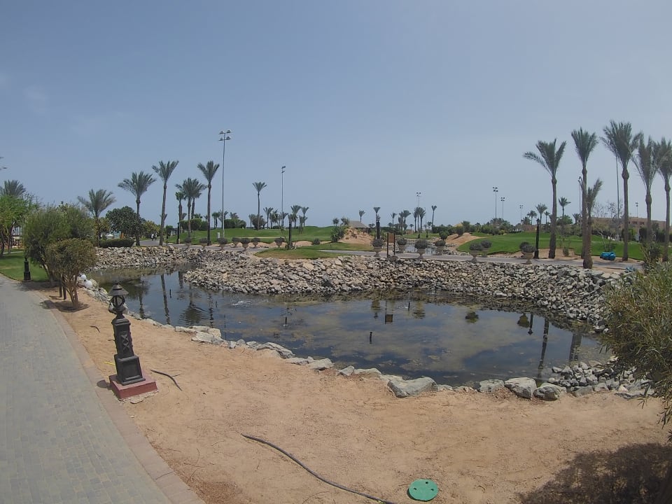 Gartenanlage Steigenberger ALDAU Beach Hotel