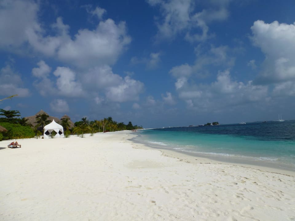 Hier kann geheiratet werden Kuredu Island Resort & Spa