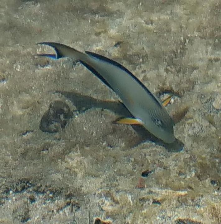 Strand Brayka Bay Resort