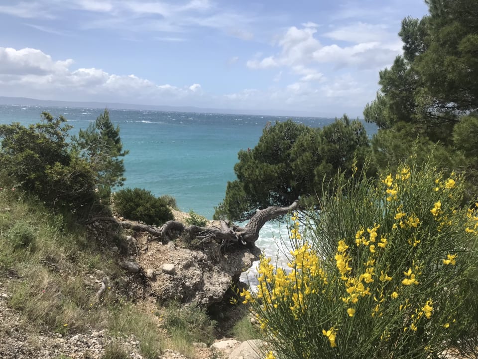 Sonstiges Aminess Laurel Khalani Hotel